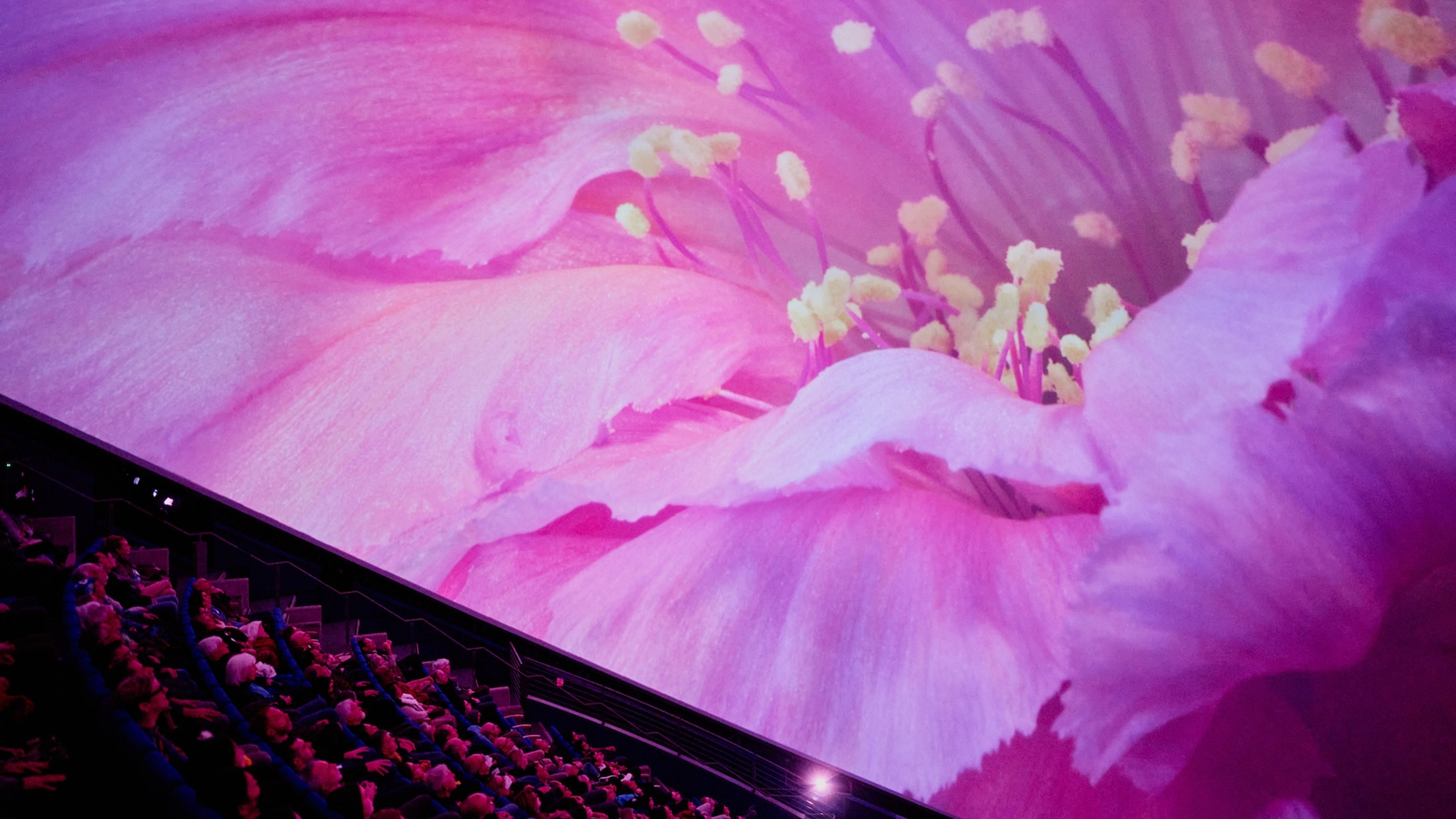 QUALIA ~ A Portal of Wonder, Connection, and Transformation (TRAILER)